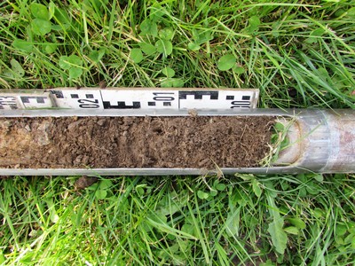 Soil sampling with a soil corer to determine the stable isotopic compositions of the soil water
