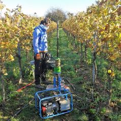 Field work, taking soil samples, for the University of Freiburg in vineyards close to Freiburg